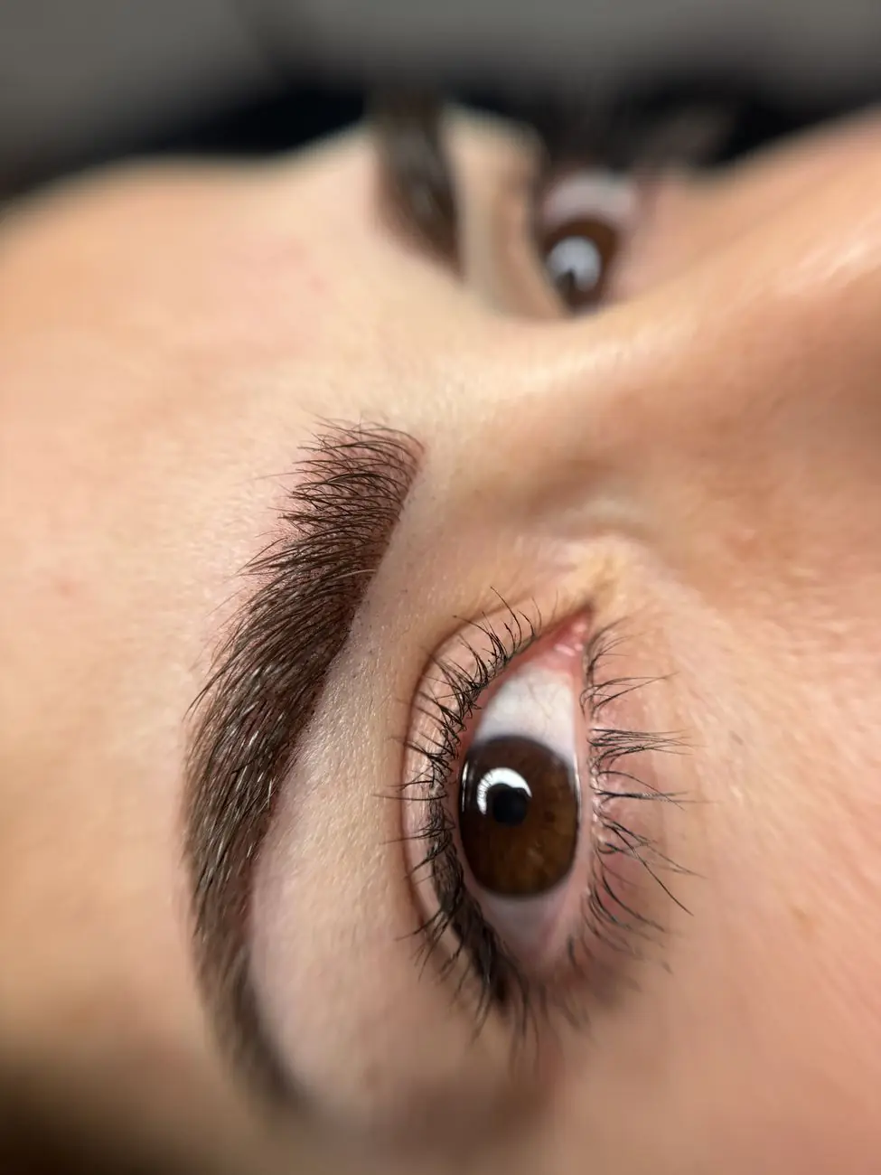 Detalle de micropigmentación de cejas a sombreado
